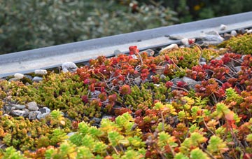 the cost of Fitz green roof installation