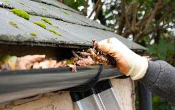 gutter cleaning Fitz, Shropshire