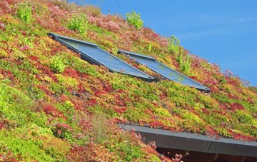 Fitz living roof systems