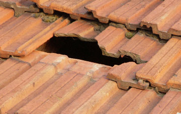 roof repair Fitz, Shropshire